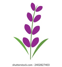 Fresh Lavender flower logo vector flat design