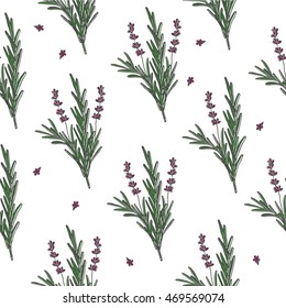 Fresh Lavender Hand Drawn Background. Doodle Wallpaper Vector. Colorful Seamless Pattern With Lavender Flowers