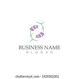fresh lavender logo vector template flat