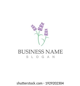 fresh lavender logo vector template flat
