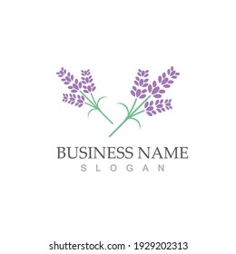 fresh lavender logo vector template flat