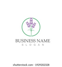 fresh lavender logo vector template flat