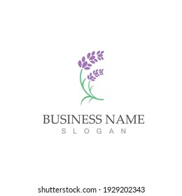 plantilla vectorial del logotipo de lavanda fresca plana