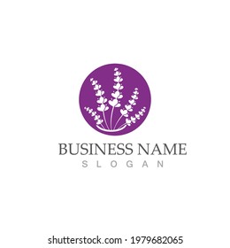 fresh lavender logo vector template flat design