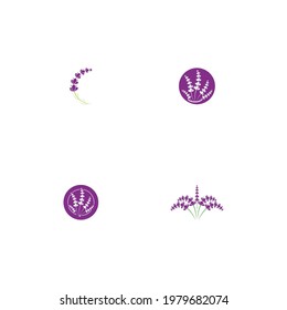 fresh lavender logo vector template flat design