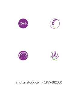fresh lavender logo vector template flat design
