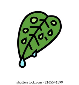 vector de icono de color de hoja fresca. signo de hoja fresca. ilustración de símbolo aislado