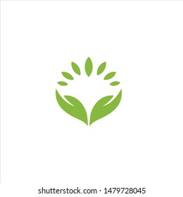 fresh leaf hemp logo vector