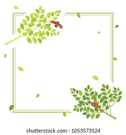 Fresh leaf and ladybug vector frame.