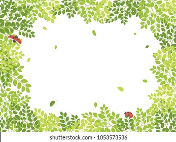 Fresh leaf and ladybug vector frame.