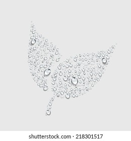 hoja fresca del símbolo del vector de gota de agua transparente, la ecología y el medio ambiente dejan árbol en el bosque, el signo de la estación lluviosa. selva tropical.