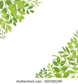 Fresh leaf vector frame.