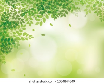 Fresh leaf vector frame.