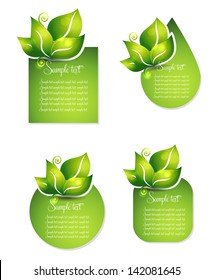 Fresh leafs templates. Various shapes. Isolated on a white background.