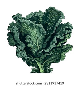 Kale de hoja fresca, un sano ícono de ensalada vegetariana aislado