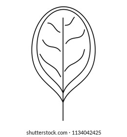 Fresh leave spinach icon. Outline illustration of fresh leave spinach vector icon for web design isolated on white background