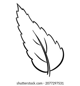 Fresh leaves. Carved sheet. Line style. Vector illustration for design and decoration.