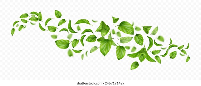 Fresh leaves falling and flying in air, isolated spiral or whirlwind with leafages and twigs of mint. Vector wind realistic effect with greenery of mentha herb. Vortex and swirls of peppermint