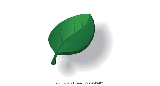 fresh leaves, maybe you know what type of leaf this is?