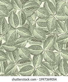 Fresh leaves scene in close up and minimal style so beautiful outdoor pattern for awesome nature background. Seamless pattern with spring green leaves of elm.