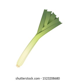 Fresh leek leaf. 3D realistic vector onion leaves. Healthy aroma. Isolated on white background. Herbs and spices kitchen set. Vector illustration