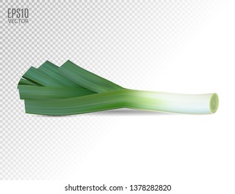 Fresh leek on a white background. Photo realistic vector, 3d