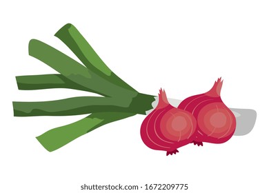 fresh leek with purple onions vegetables isolated icon vector illustration design