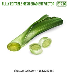 Fresh leek slices illustration on white background.