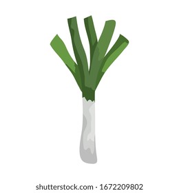 fresh leek vegetable isolated icon vector illustration design
