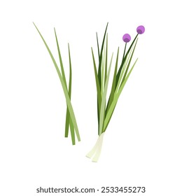 Legumes de alho-poró frescos. Alho-poró desenhado à mão para design de mercado agrícola. Ervas aromáticas em bruto. Ilustração de vetor plano isolada em branco. Ícone de ervas frescas e especiarias. Jardim de ervas da cozinha. Alimentos orgânicos saudáveis