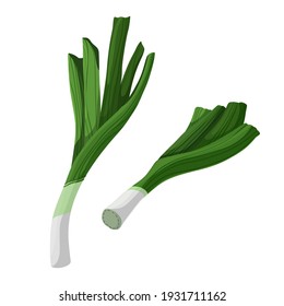 Fresh leeks. Illustration in flat style. Vector food
 illustration isolated on white background.