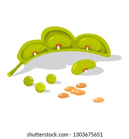 Fresh legumes. Natural organic bean. Vegetarian salad ingredient. Isolated vector illustration in cartoon style