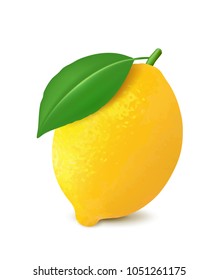 Fresh lemon. 3d realistic vector image