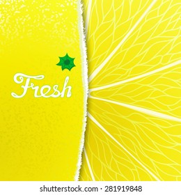 Fresh lemon. Abstract creative background with any torn peel and the structure of the fruit