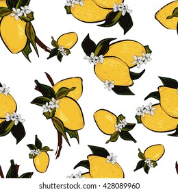 Fresh lemon blossom pattern illustration
