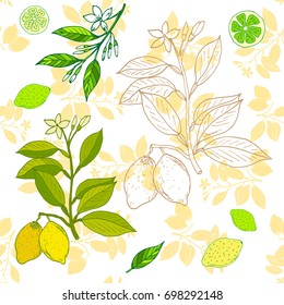 Fresh lemon branch. Vector illustration for web