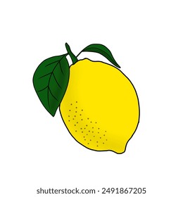 fresh lemon cartoon vector fresh lemon illustration