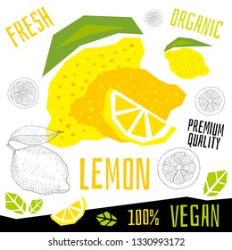 Fresh lemon citrus grapefruits fruits organic vegan food vector hand drawn illustrations