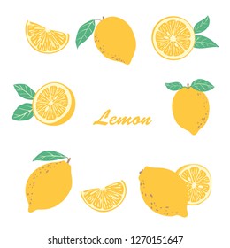 Fresh lemon collection (slices and half fruit elements). Vector summer illustration