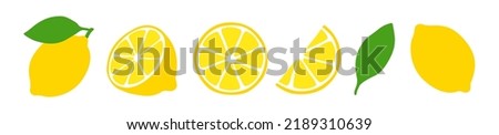 Fresh Lemon Collection - Vector Icon