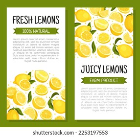 Fresh Lemon Design with Bright Yellow Citrus Fruit Vector Template