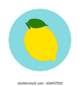 Fresh lemon fruit in blue circle. flat design. vector illustration
