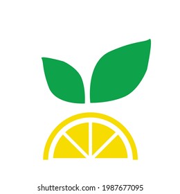 Frische Zitronenfrüchte. Citrus-Vektorgrafiken auf weißem Hintergrund. Flaches Design.