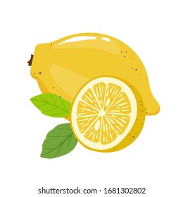 Fresh lemon fruit concept whole and half. Vector illustration on white background