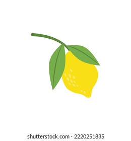 Fresh lemon fruit. Flat style illustration