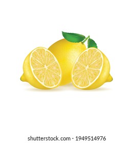 fresh lemon fruit isolated on white background. illustration realistic vector