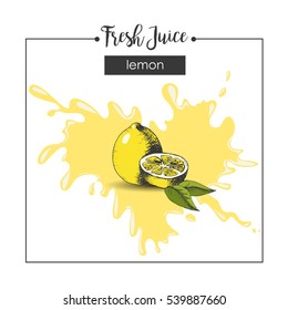 Fresh lemon fruit juice splash. Sketch, engraving, hatching. Vector illustration 