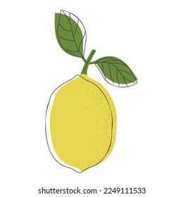 Fresh lemon fruit with leaves. Lemon logo or icon.