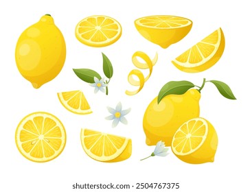 Fresh lemon fruit set. Vector set of whole and cut lemon with leaves, ripe yellow slices citrus, flowers. Organic food product for lemonade, juice, vitamin c, jam, package, web. Healthy vegan food