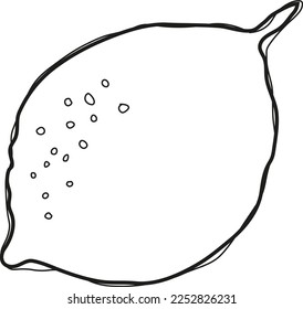 Vector de fruta fresca de limón con líneas abstractas. vector de arte de limón. frutos de verano